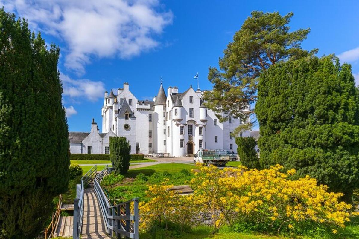 una gran casa blanca amb arbres i flors grogues
