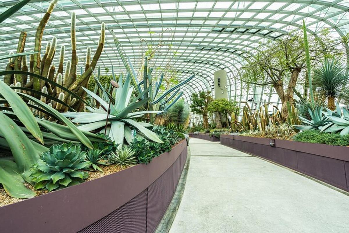 种满各种植物的温室