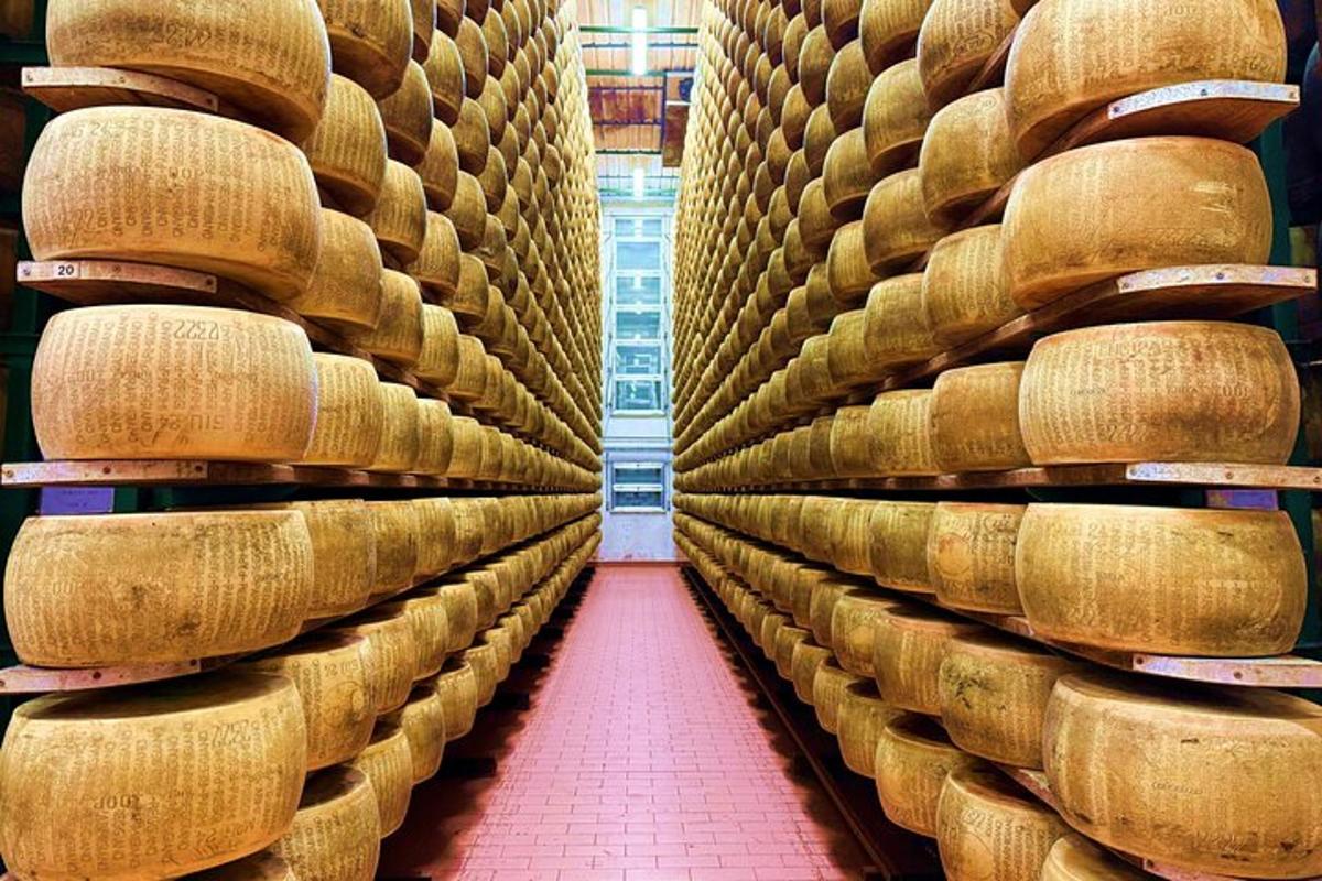 una filera de cistelles en un celler