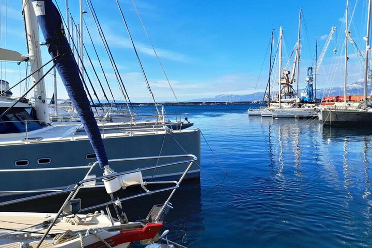 um grupo de barcos está atracado na água