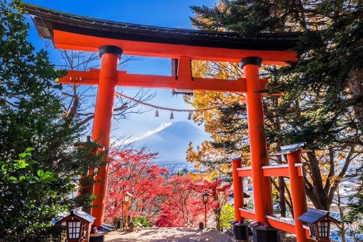 an orange torii gate in a park with trees
