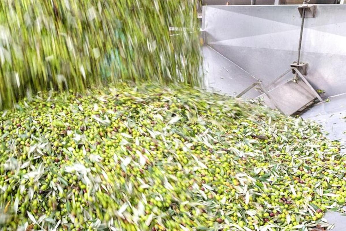 un paraigua sota la pluja al costat d'una paret