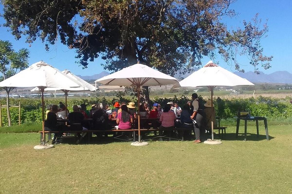 a group of people sitting at a table under umbrellas