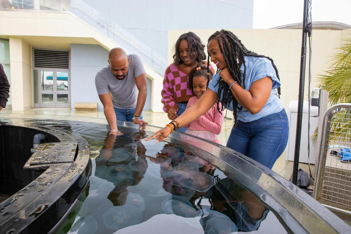 a group of people standing around a pool of water
