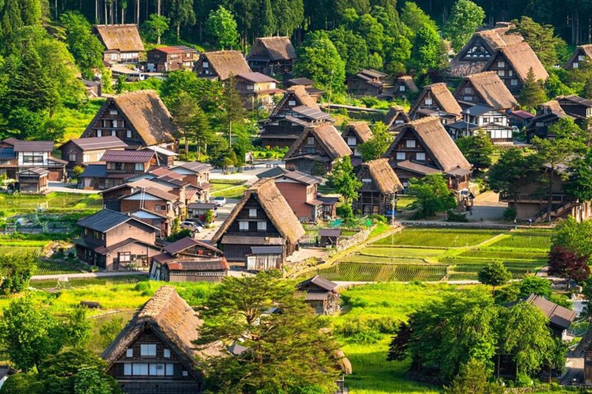 ein Dorf mit Häusern auf einem Hügel mit Bäumen