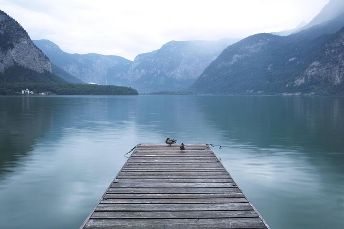 Un pato sentado en el extremo de un muelle en un lago