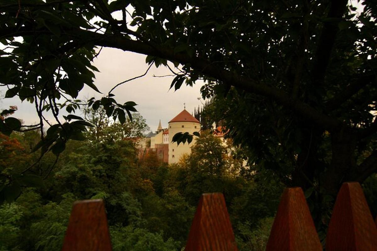 un castello in mezzo a una foresta di alberi