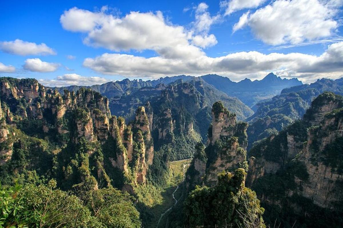 峡谷景观，树木和山脉