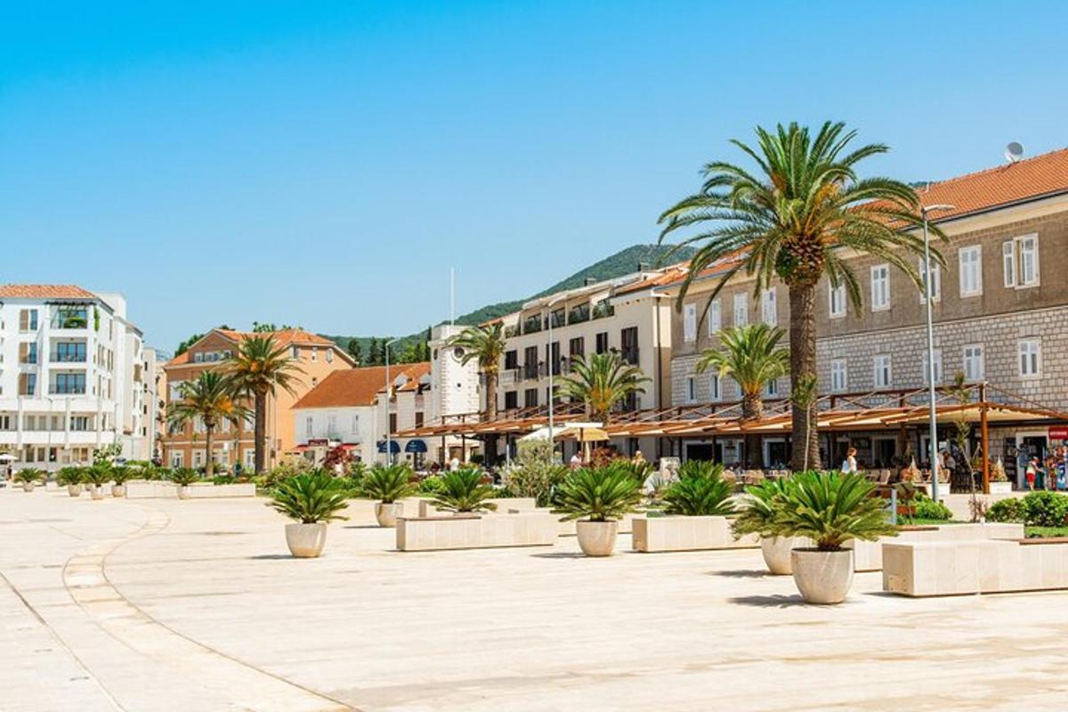 una plaza de la ciudad con palmeras y edificios