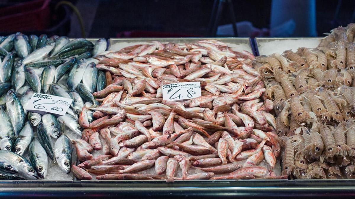 paparan pelbagai jenis makanan laut di pasar
