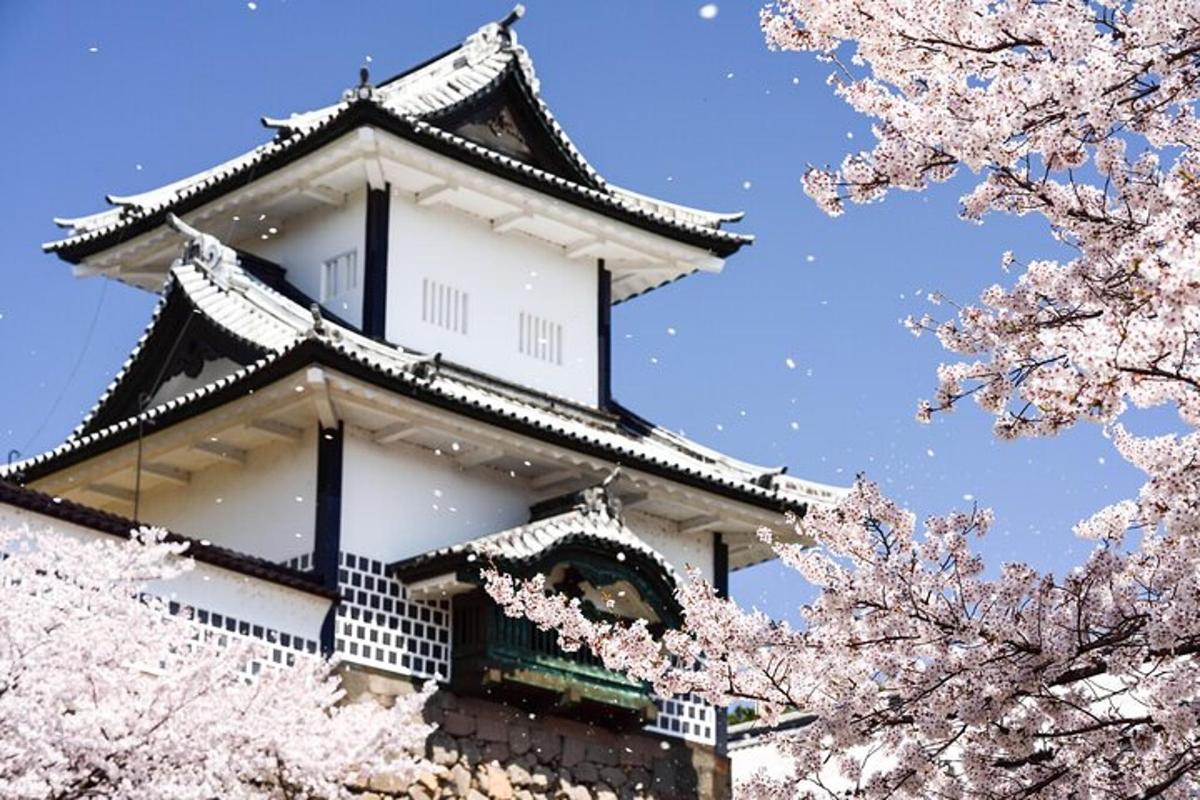 Una pagoda con árboles akura frente a un edificio.