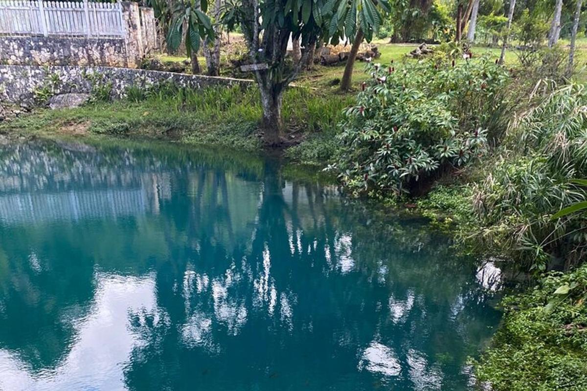 una piscina di acqua blu con alberi e cespugli