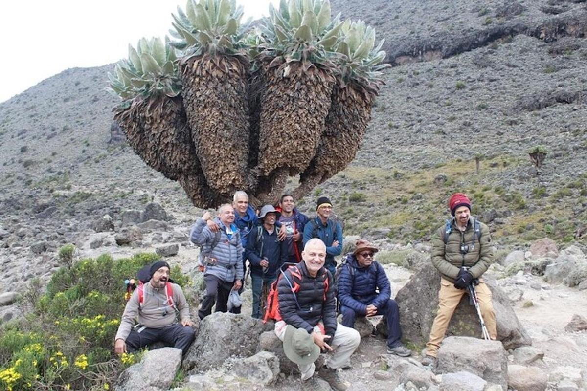 a group of people posing for a picture in front of a palm tree