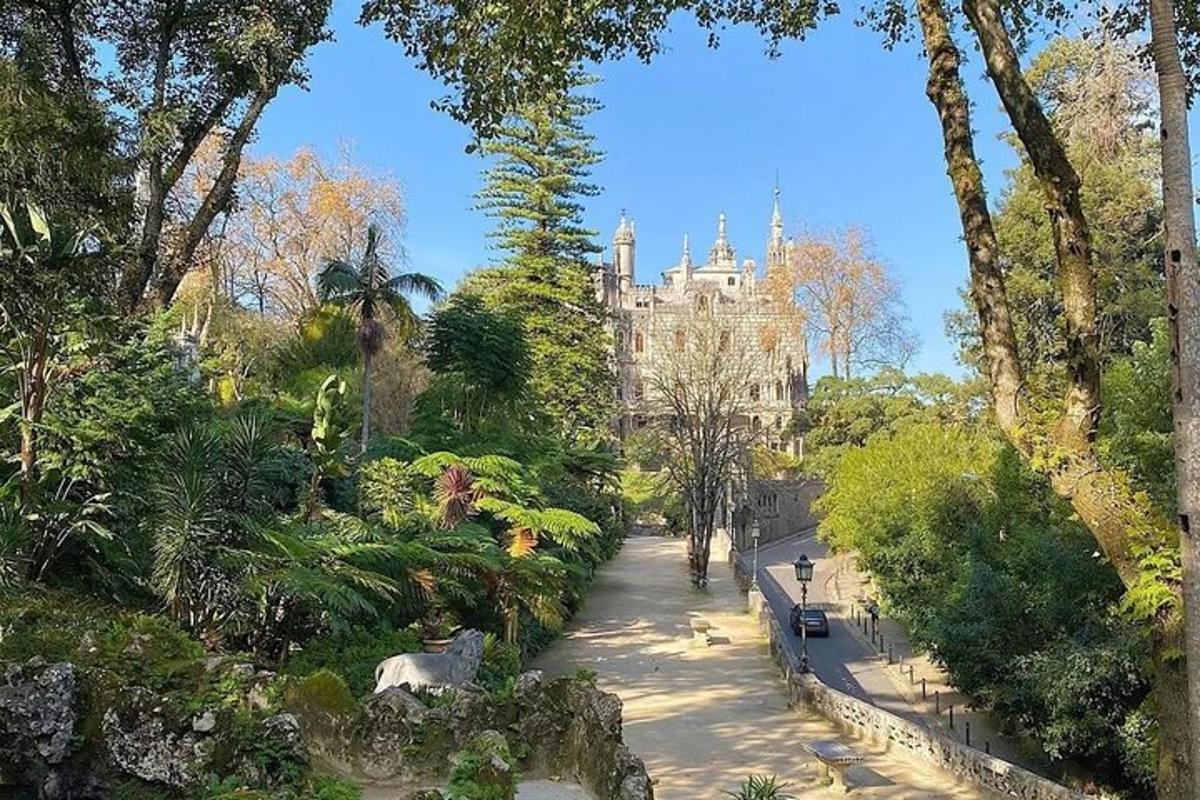 un sentiero attraverso un parco con un edificio sullo sfondo