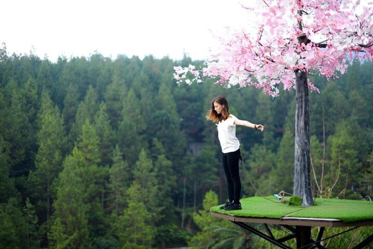 a woman standing on a platform next to a tree