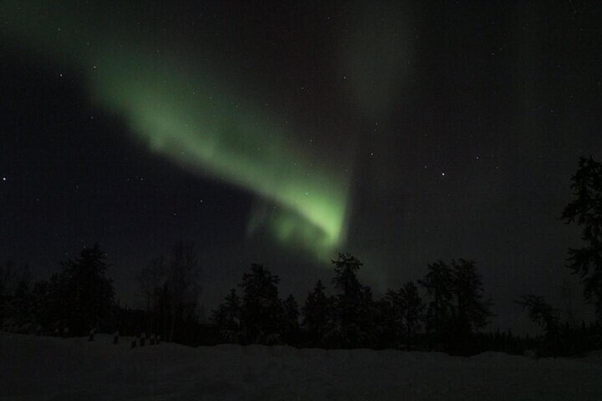 ein Polarlicht am Himmel über Bäumen und Schnee