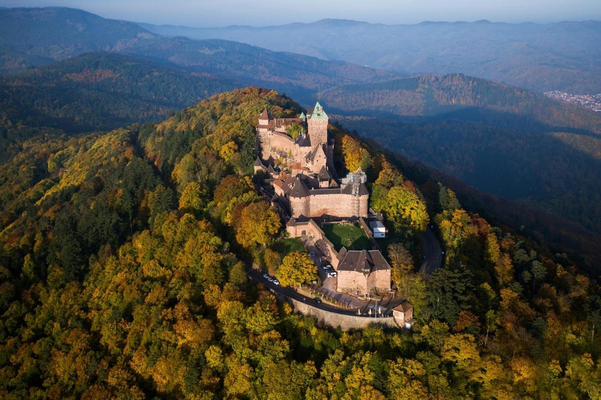 an old castle on a hill in the forest