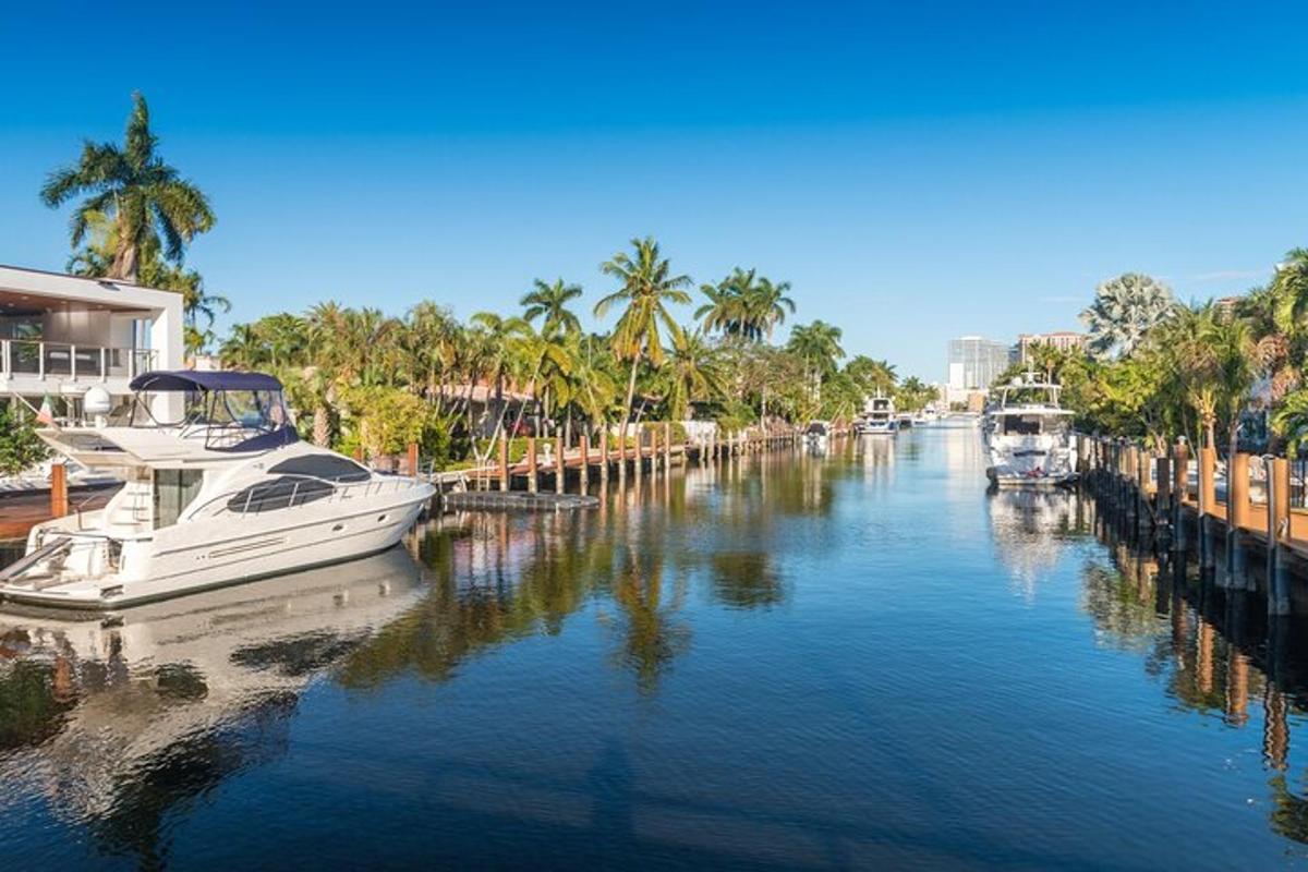 Dos barcos están atracados en un río con palmeras.