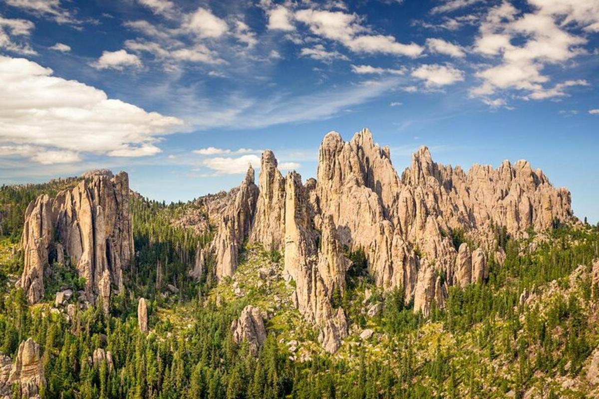a mountain with tall rocks and trees on it