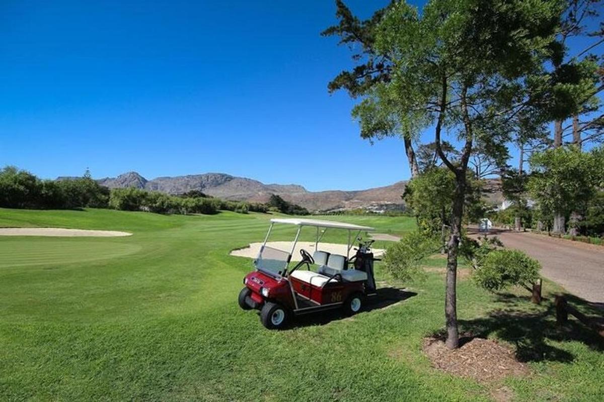golfový vozík zaparkovaný vedle stromu na golfovém hřišti