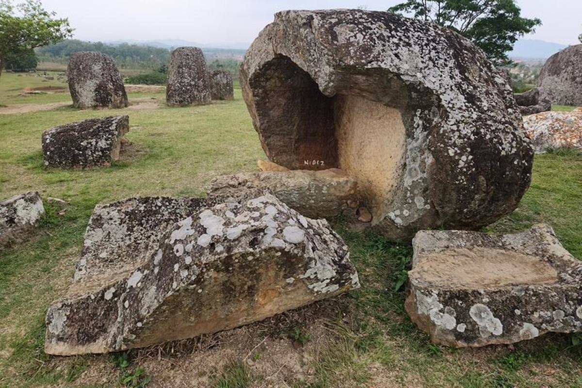 a large rock with a hole in it in a field