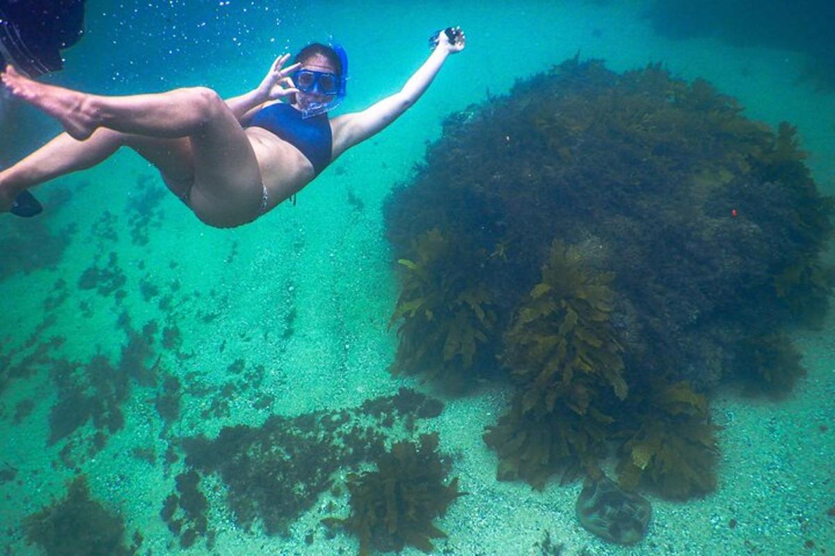 Eine Frau schwimmt im Wasser in der Nähe eines Korallenriffs