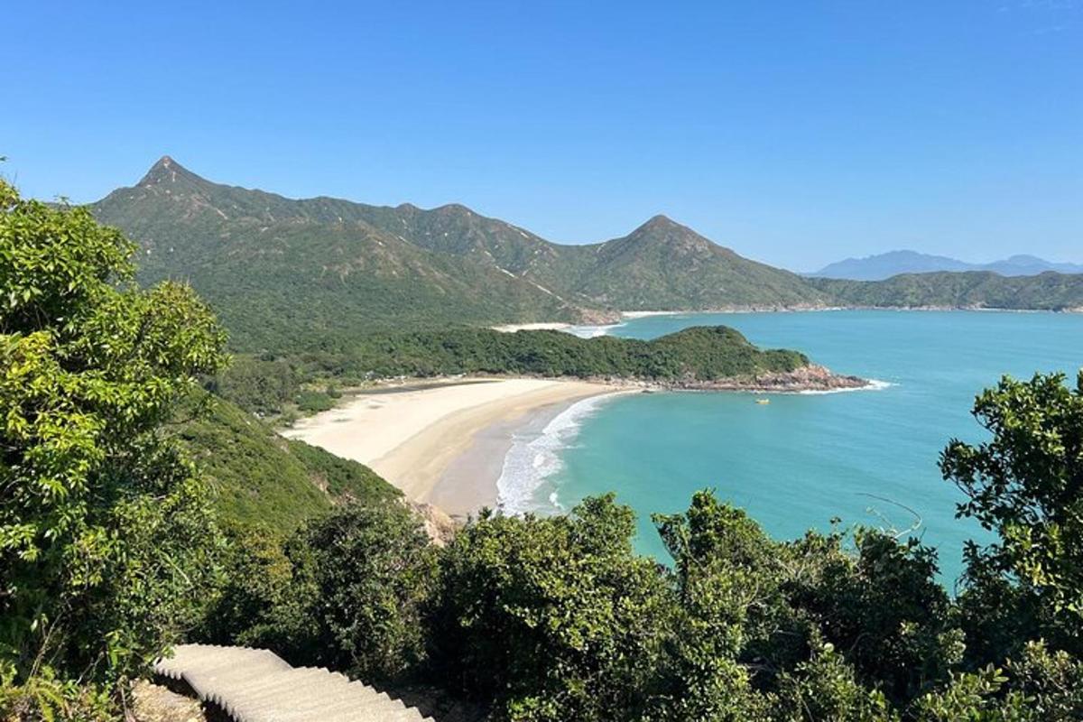 uma vista de uma praia com árvores e o oceano