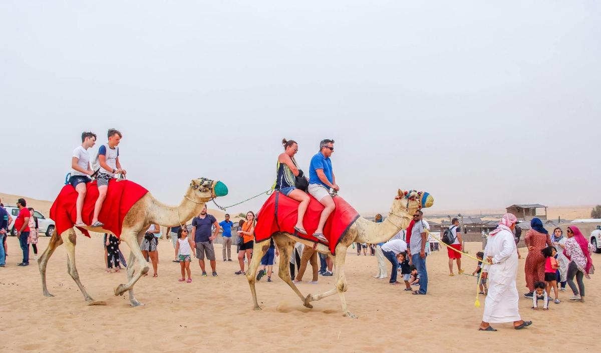 eine Gruppe von Menschen reitet auf Kamelen am Strand