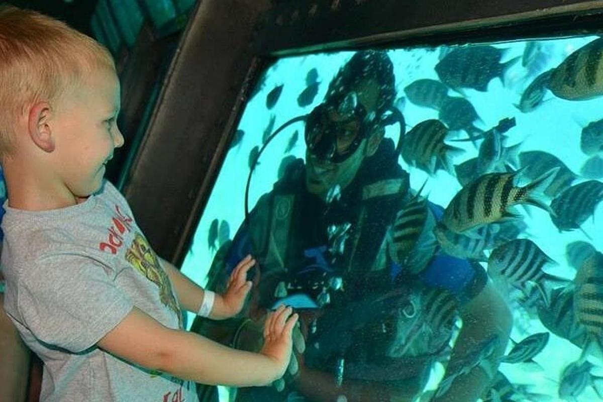 ein kleiner Junge, der Fische in einem Aquarium betrachtet