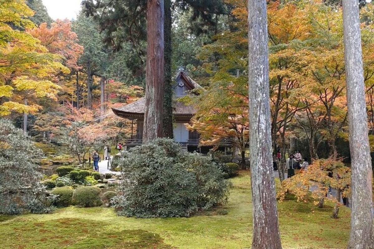 en japansk hage med et hus midt blant trærne