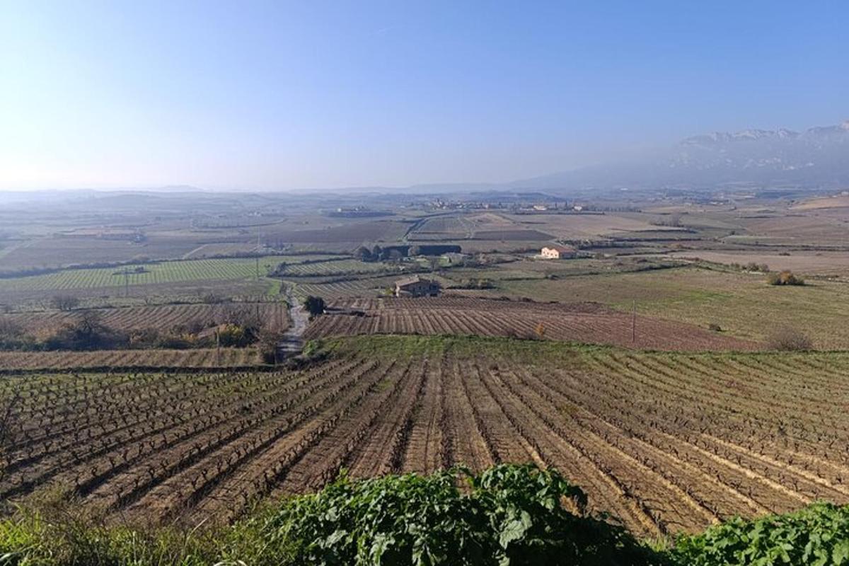 zračni pogled na polje pridelkov