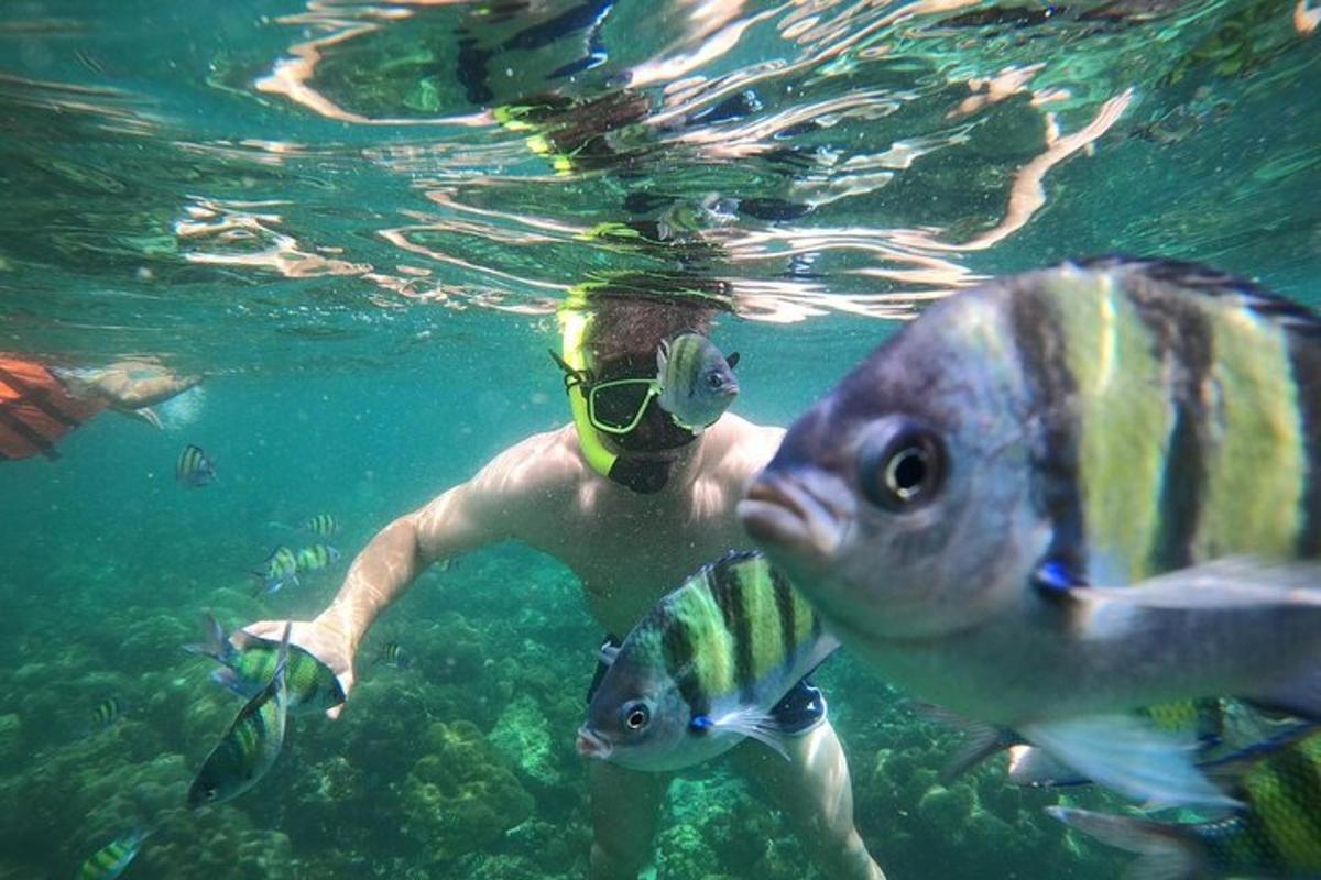 a man swimming in the water with a fish