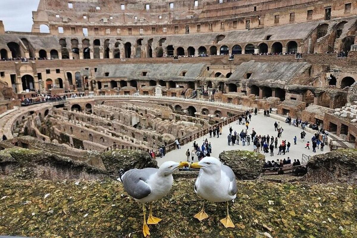 two seagulls are standing in front of an amphitheater