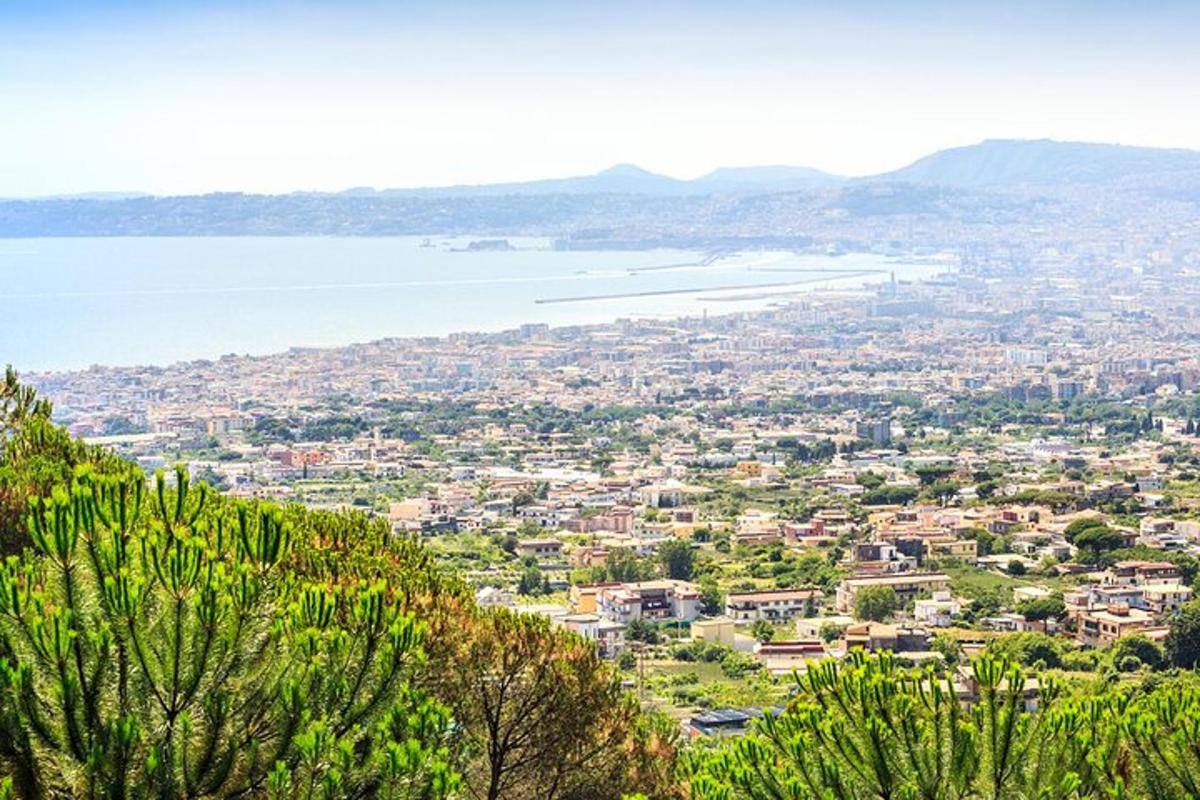 a view of a city from a hill