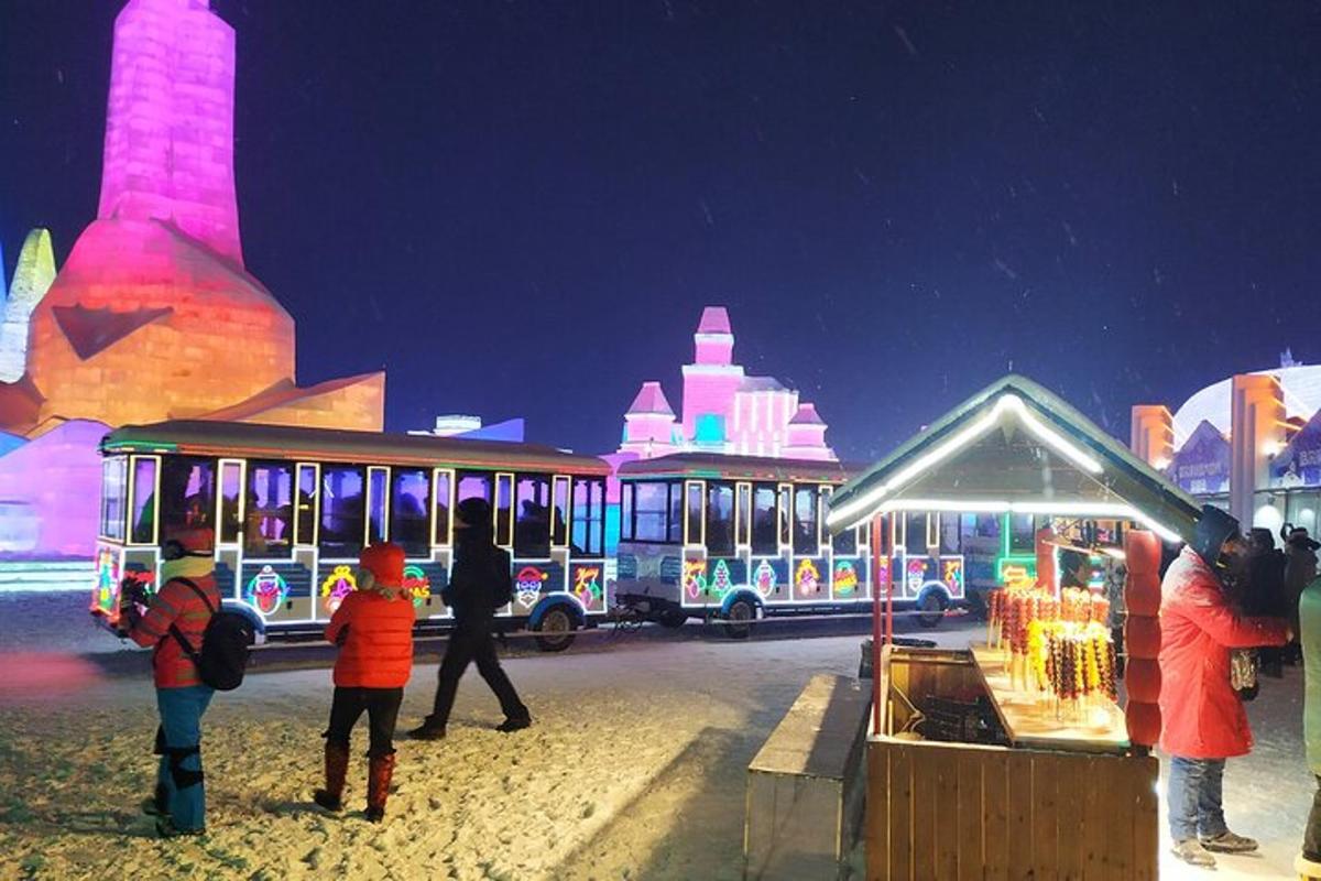 a group of people standing in front of an ice festival