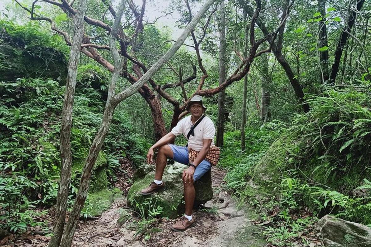 un home assegut en un banc en un bosc