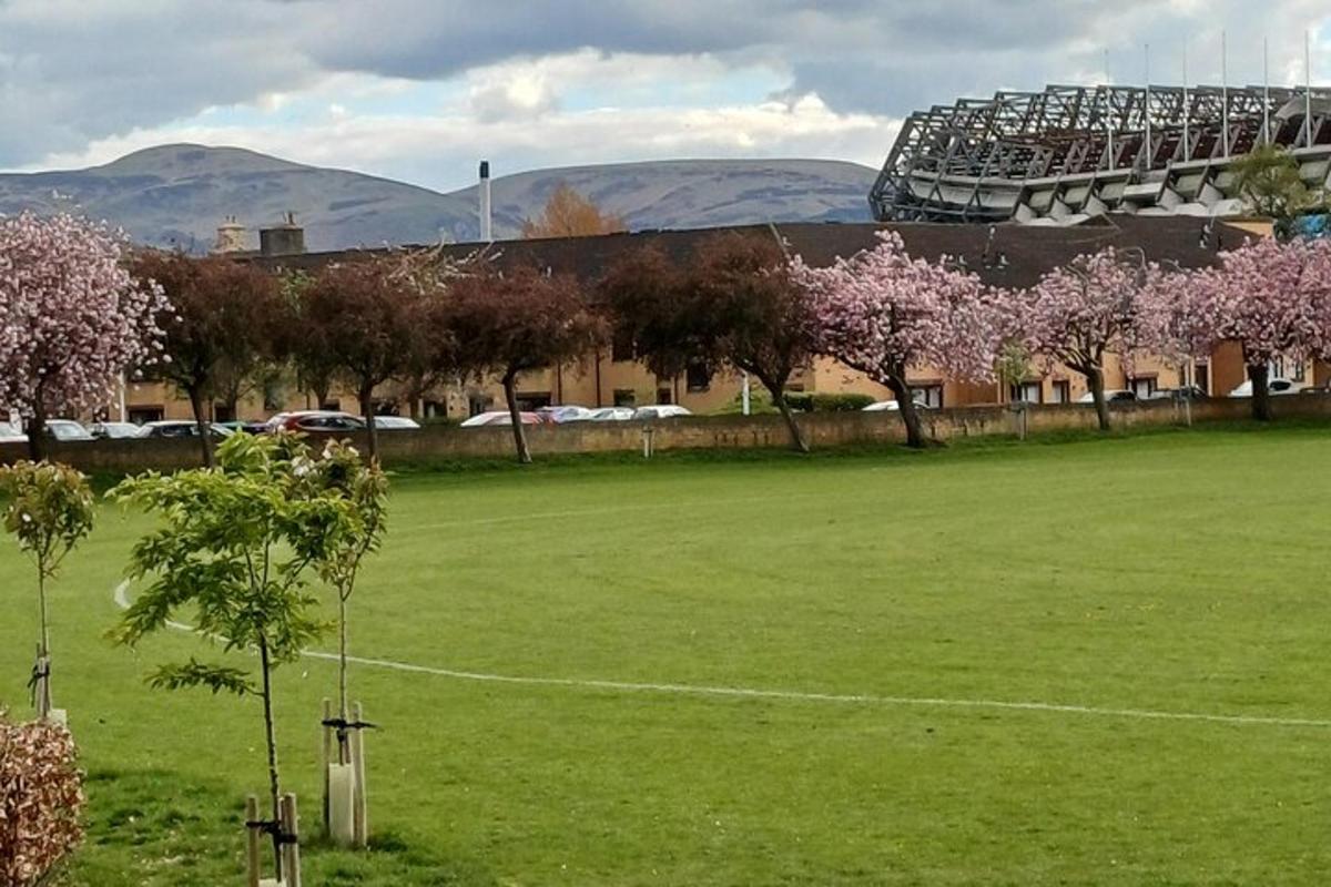 a field with trees and a stadium in the background