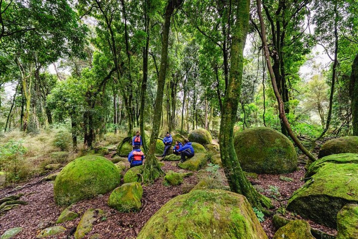 drei Menschen sitzen auf Felsen in einem moosbedeckten Wald