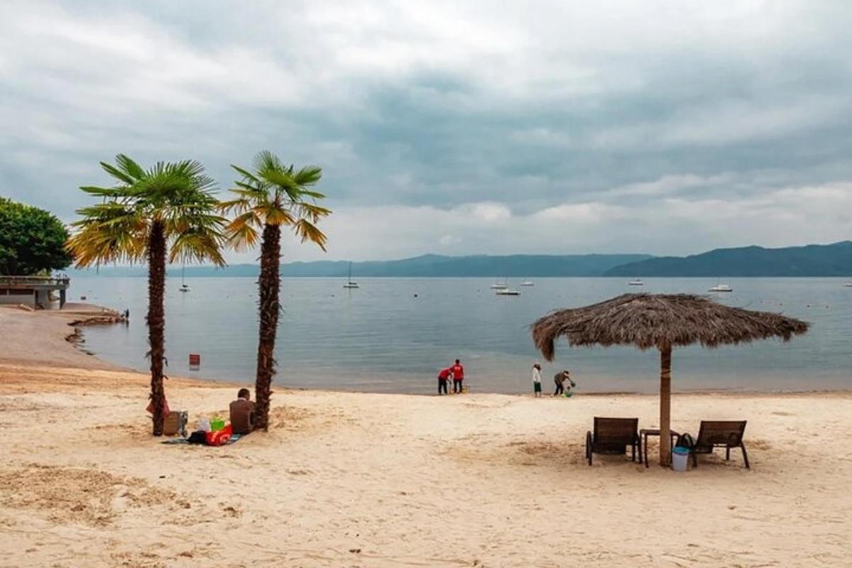 a beach with two palm trees and people on it