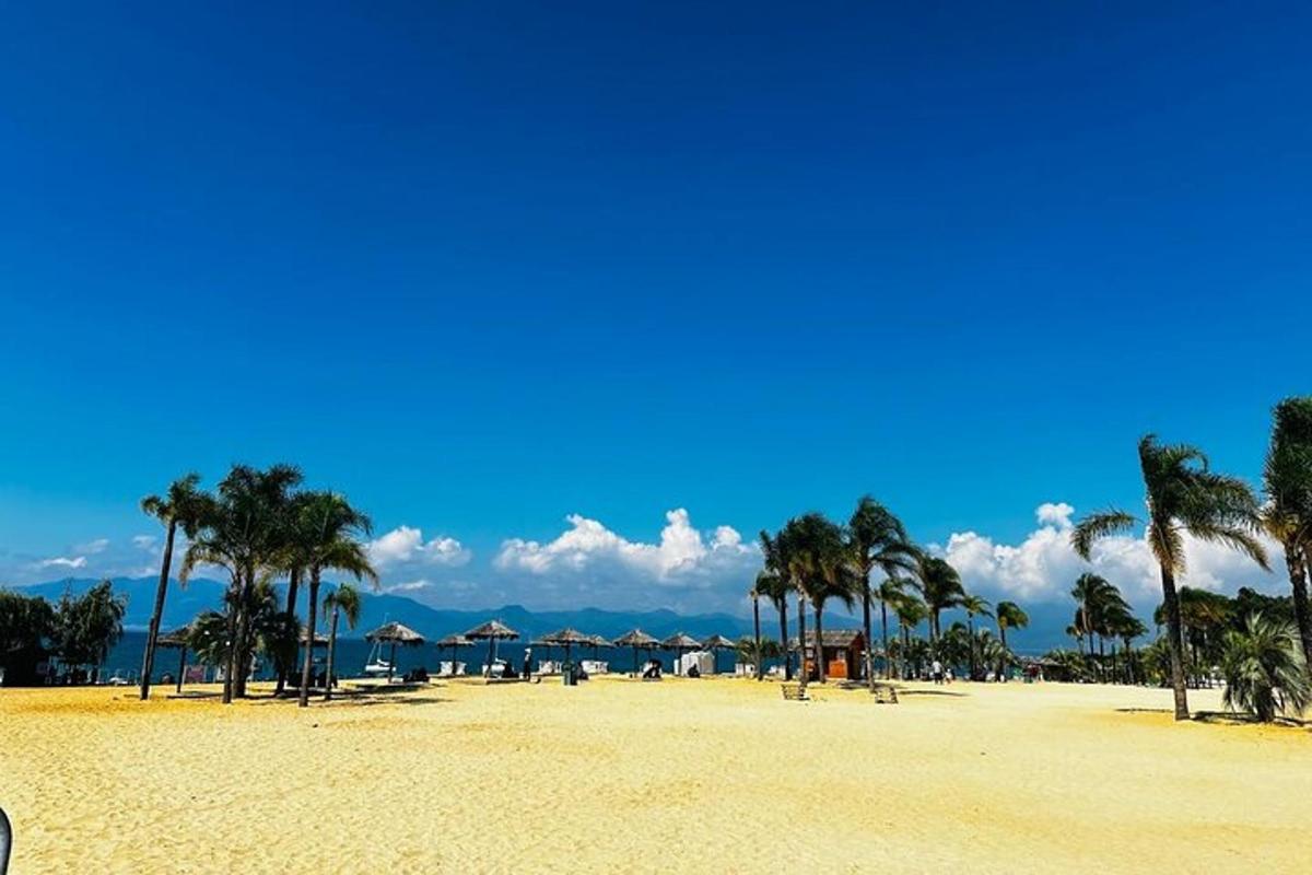 a beach with palm trees and umbrellas on it