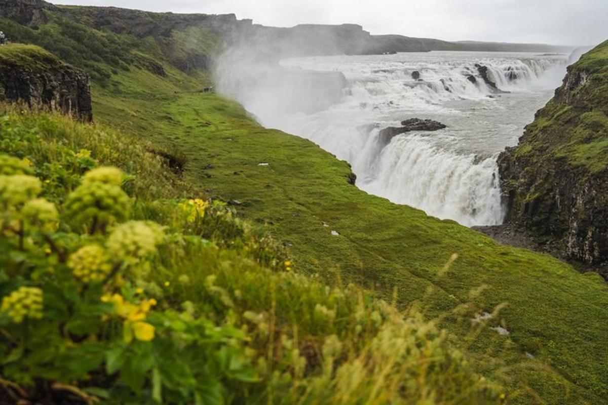 foss á hlíð hæðar með blómum