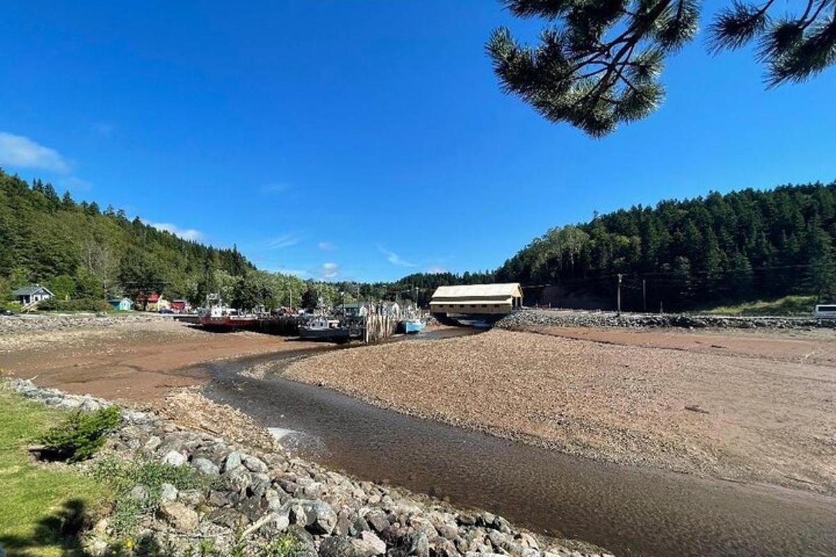 a river with a bridge in the background and trees