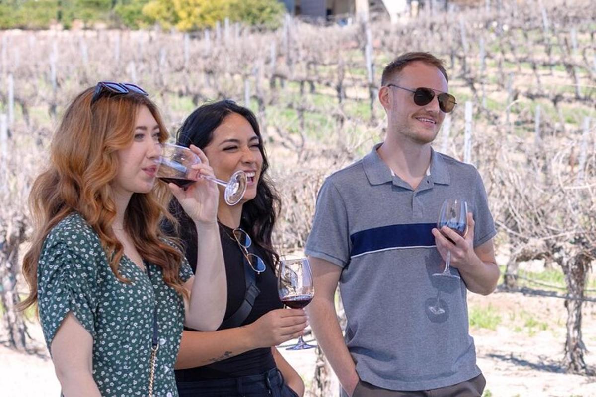 dvije žene i muškarac piju vino iz vinskih čaša