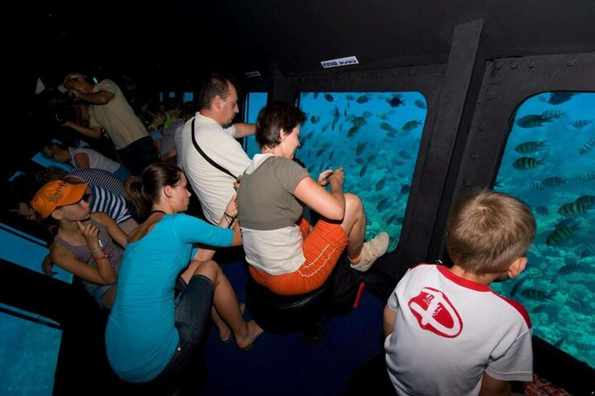 un gruppo di persone che guardano un acquario