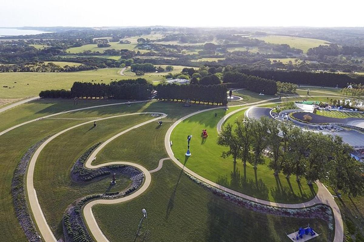 una vista aerea di una pista da corsa in un parco