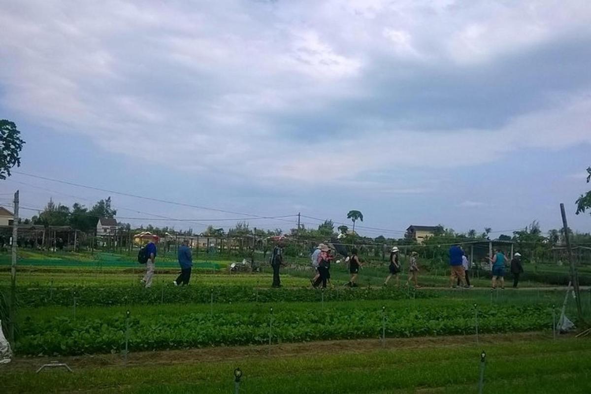 Un grupo de personas de pie en un campo volando una cometa