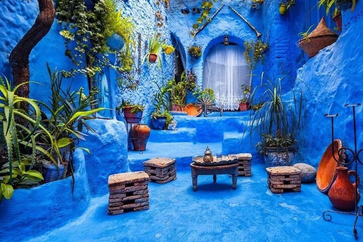 Una habitación azul con una mesa y algunas plantas.