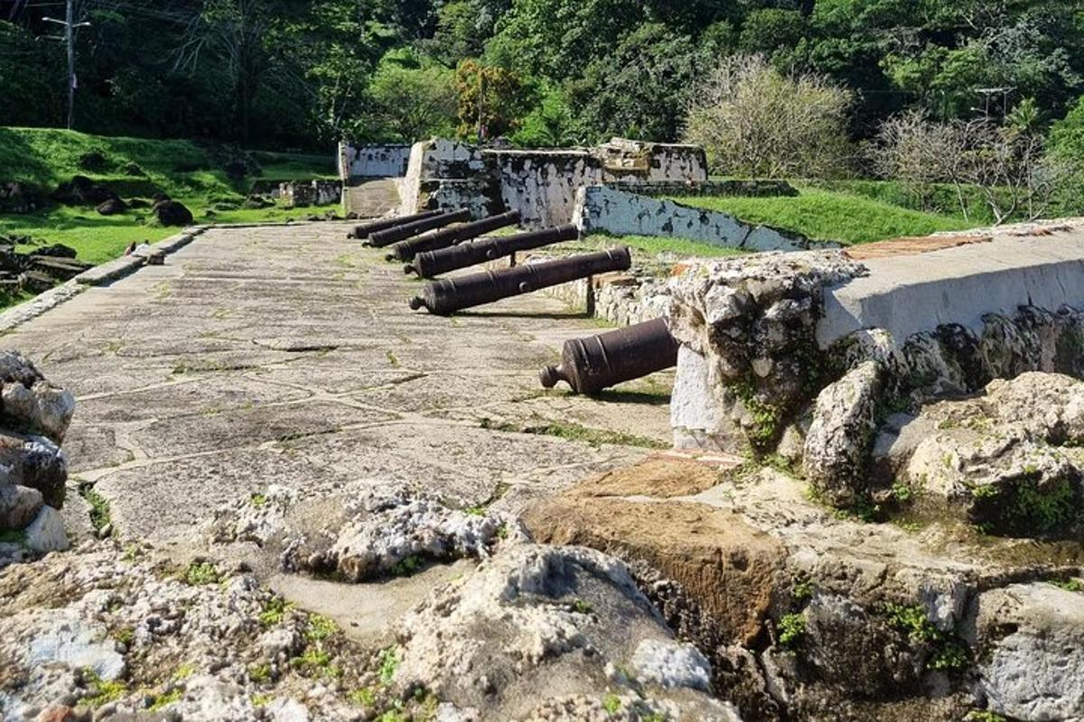 uma fileira de canhões no topo de um campo