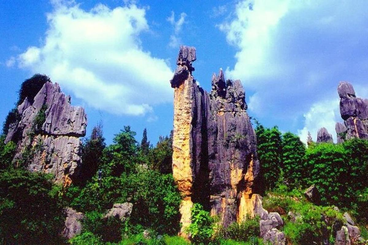 a group of rocks in a field with trees