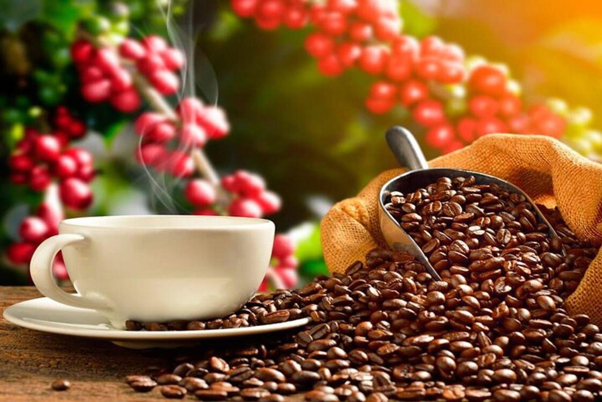 bolli af kaffi og hrúga af kaffibaunum